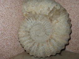  mene3anedi ele les marocin